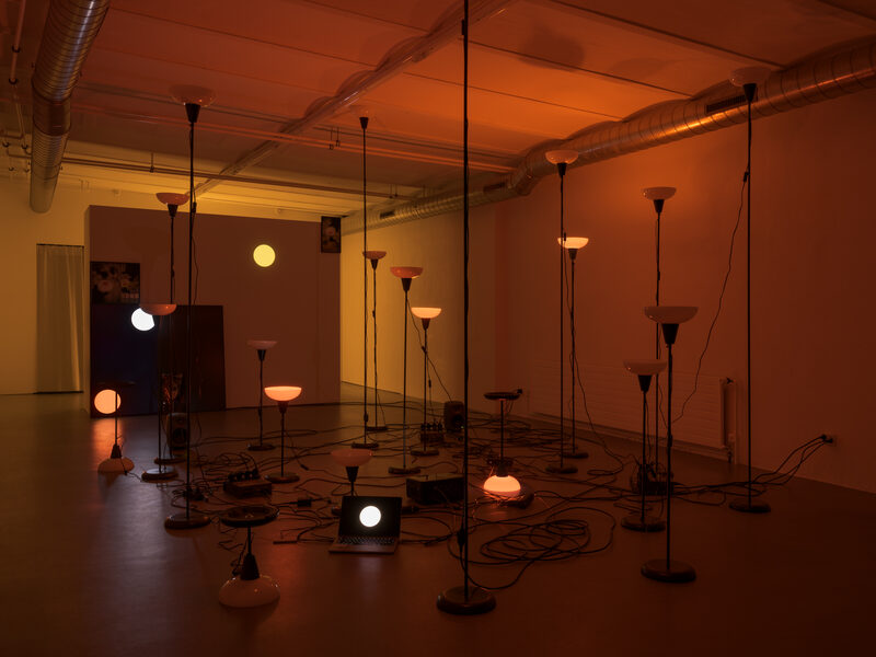 Daria Blum: HOME SCREEN