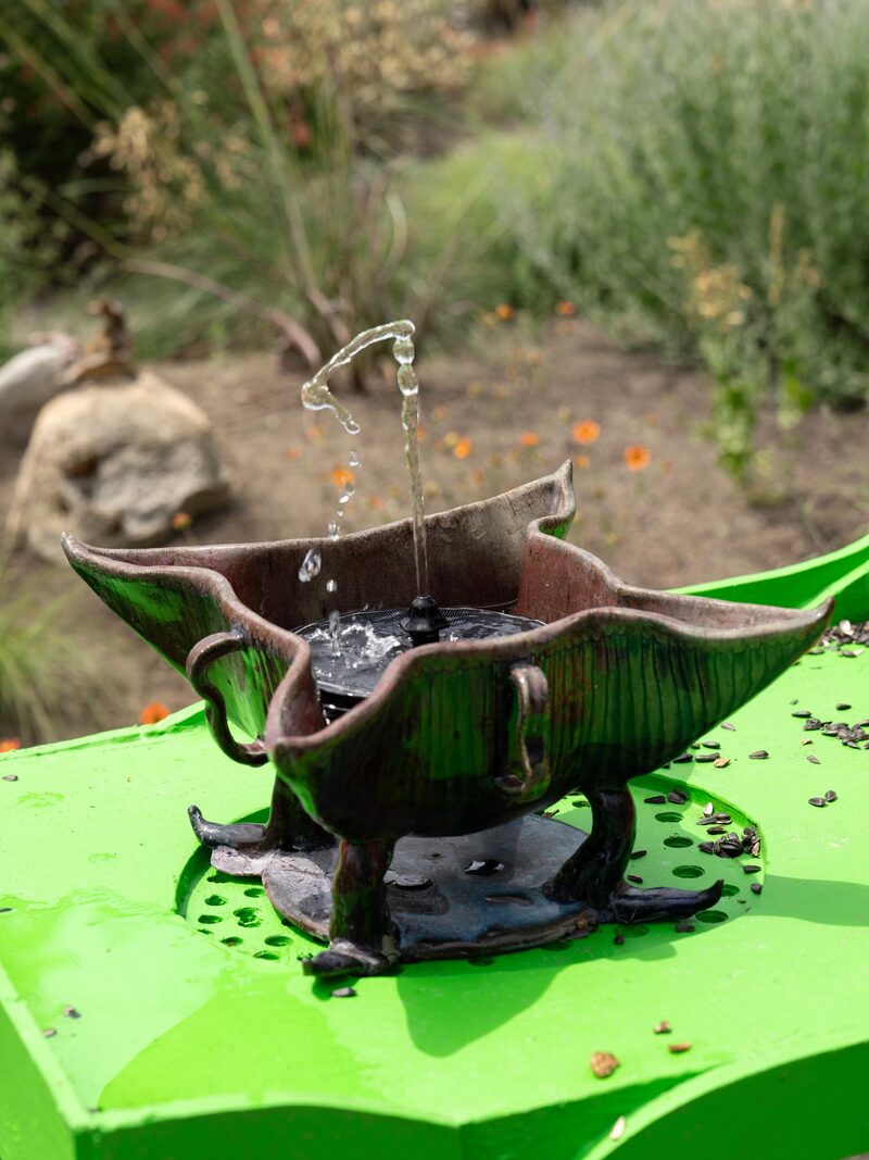 Pond in a Bowl