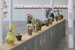 Soil and Friends