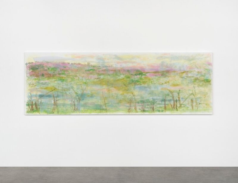 Trevor Shimizu