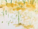 Trevor Shimizu