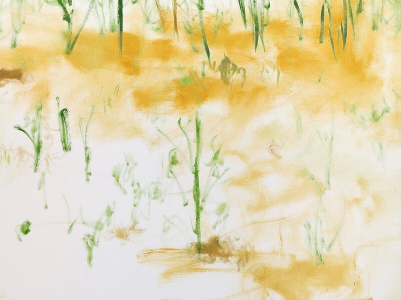 Trevor Shimizu