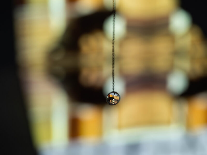 Confusion model into a butterfly