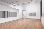 Peter Hujar / Liz Deschenes: Persistence of Vision