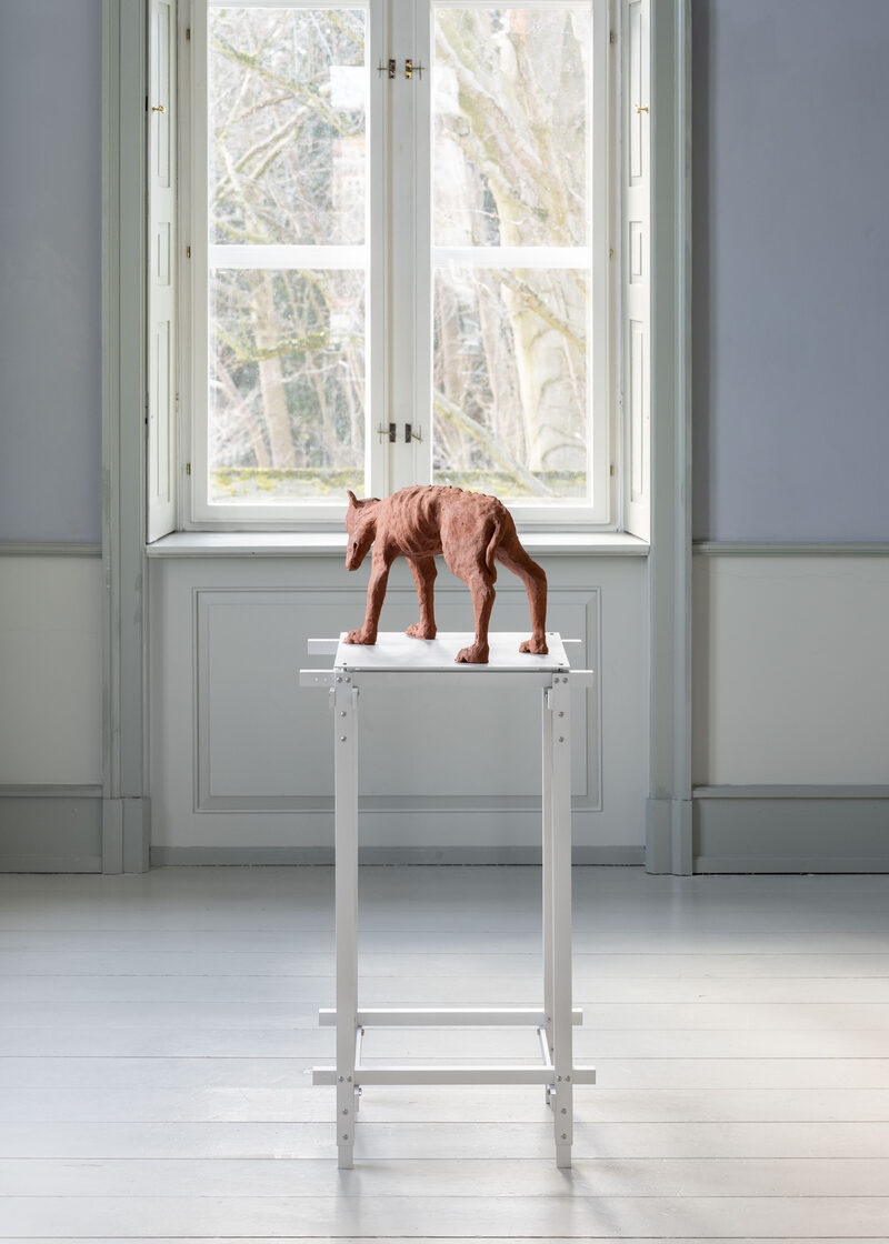 Bodies Under Construction