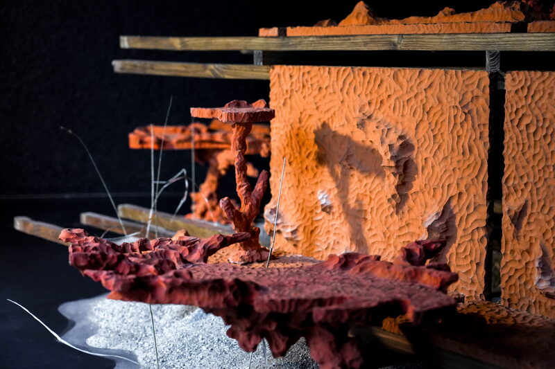 January has April's showers