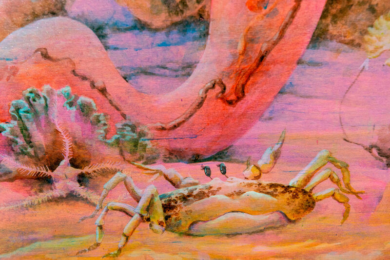 Creation Myths and Other Beginnings