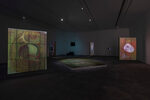 View exhibition
