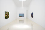 View exhibition