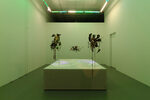 View exhibition