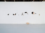 View exhibition