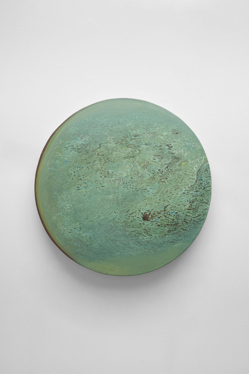 YELLOWSAKE - giallocanarino