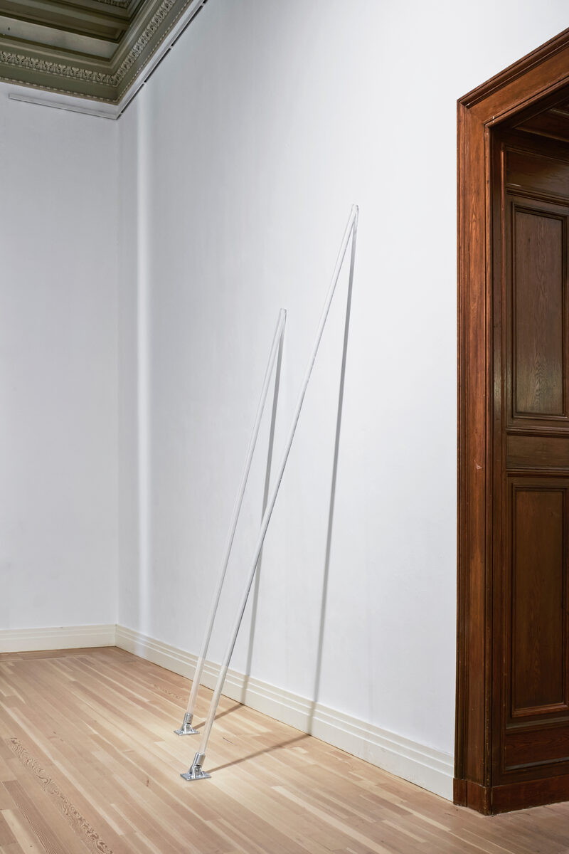 Peter Hujar / Liz Deschenes: Persistence of Vision