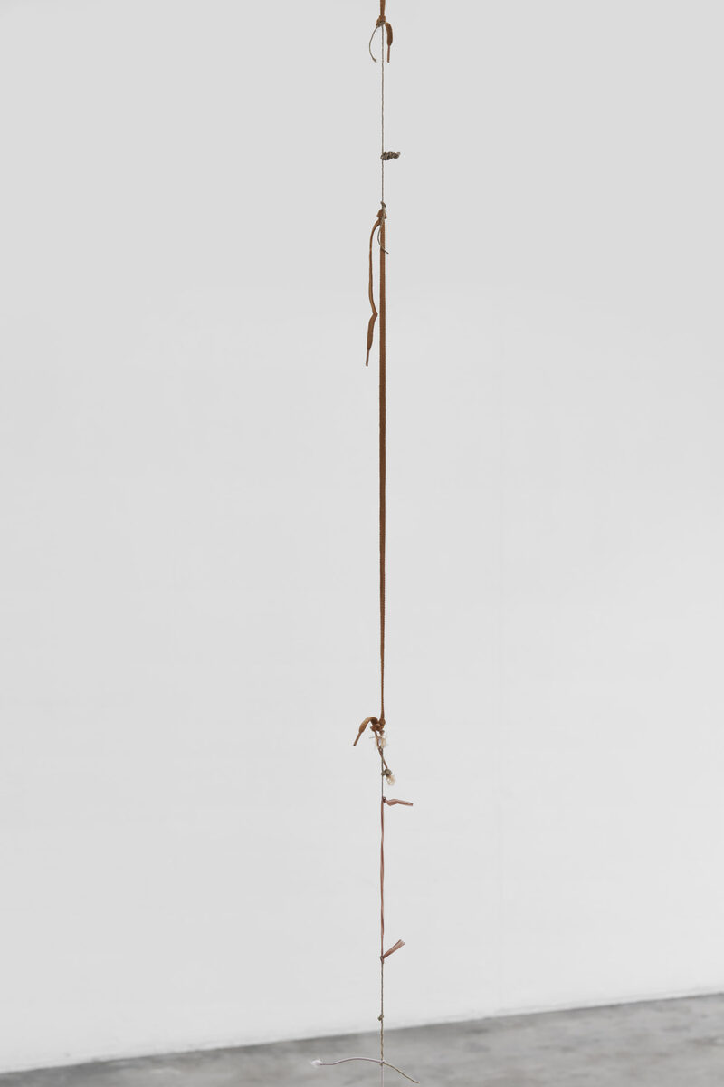 Future Mechanism Rag Plus Two Grams