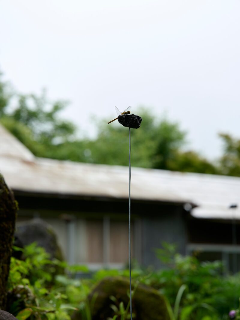 Light in August