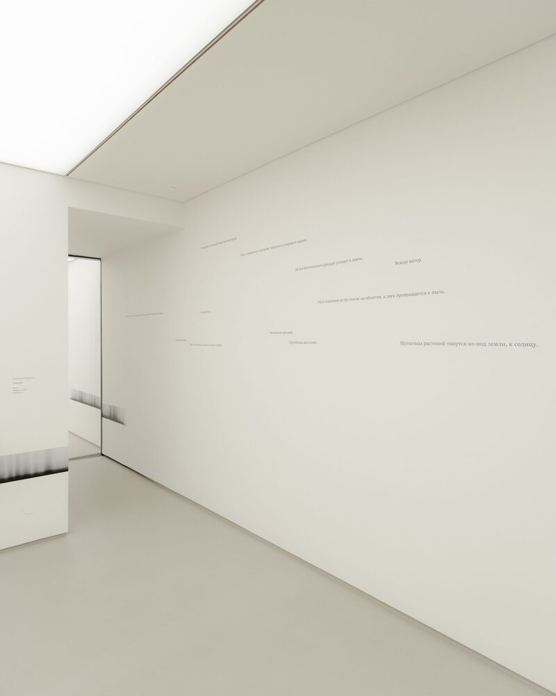 Sunlit Threads over the Black-Grey Wasteland