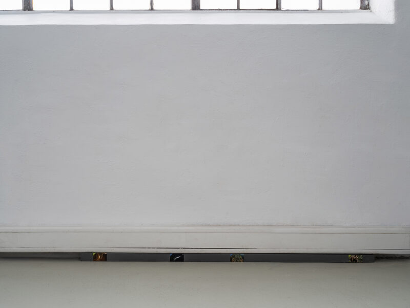 Confusion model into a butterfly