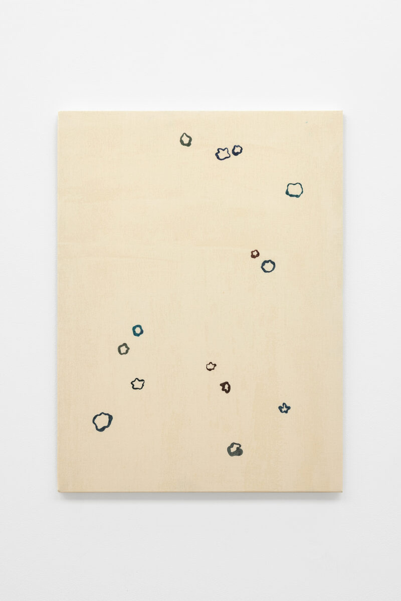 Cathy Wilkes