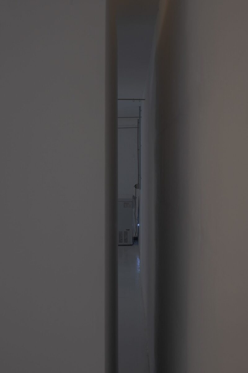 Space 13 Room 14 Crypt