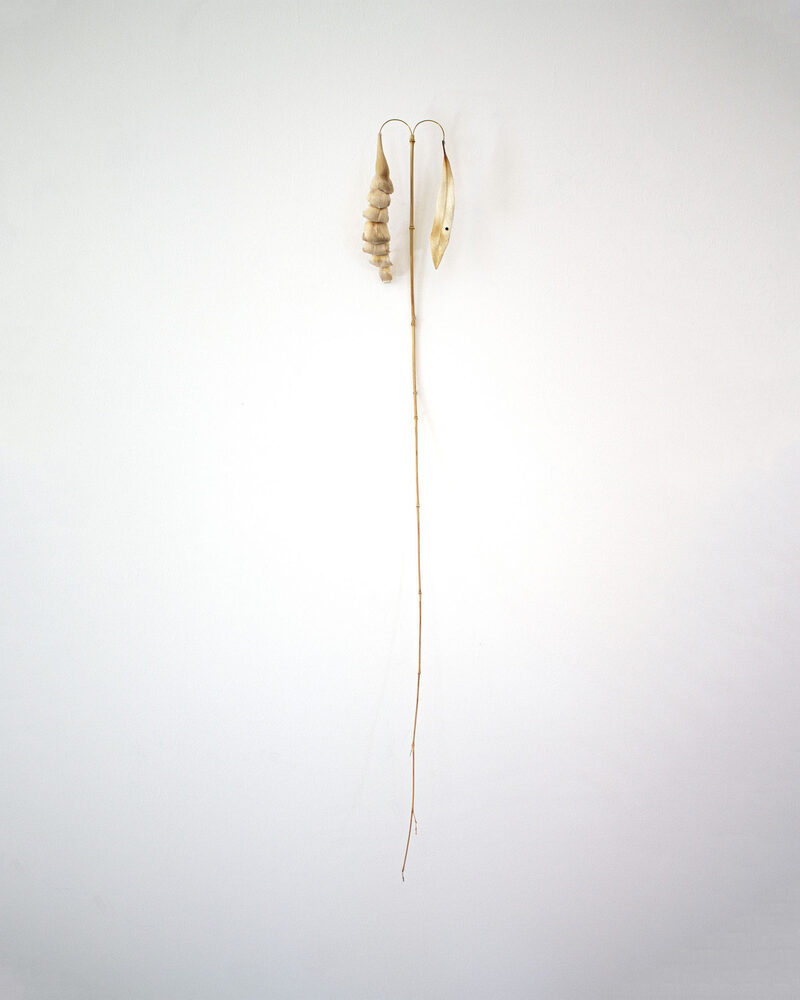 Withering into breath, wetness undoes itself