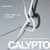 Calypto