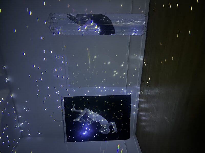 the space between: tara bogart