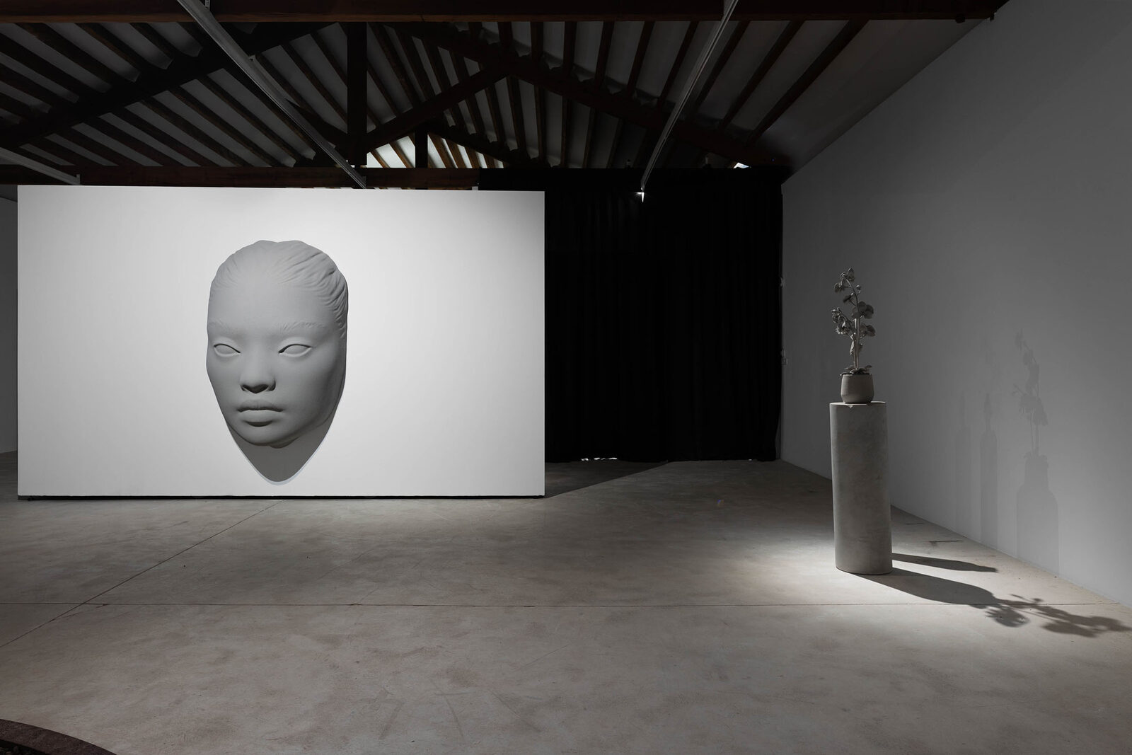 Image gallery Synthetic Future
