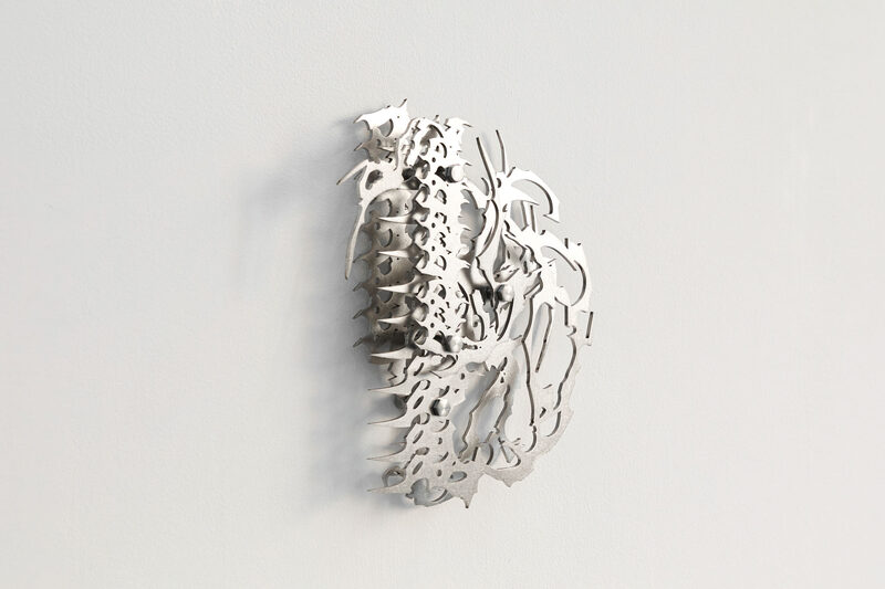 Axial Veil