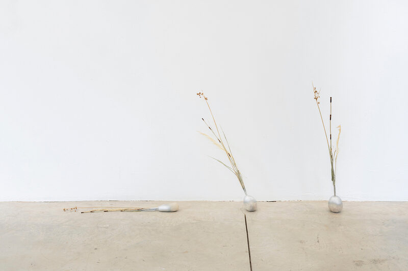 Tartan Tartana