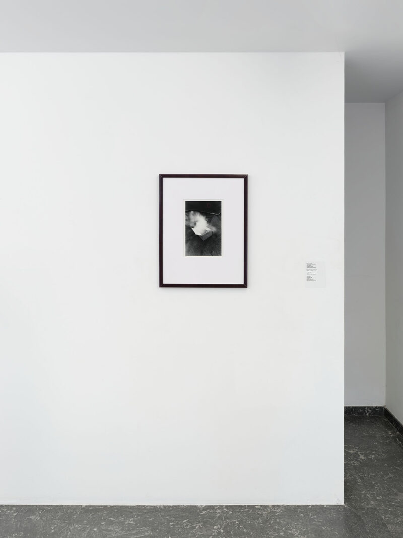 Nothing New Under the Sun — A selection of the Collection Flemish Community