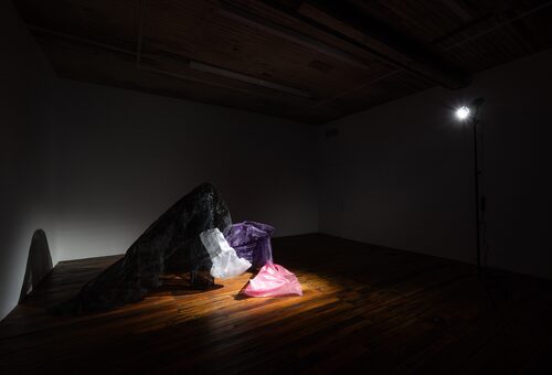 View featured exhibition Two Fixed Ideas Will Unite at art hall