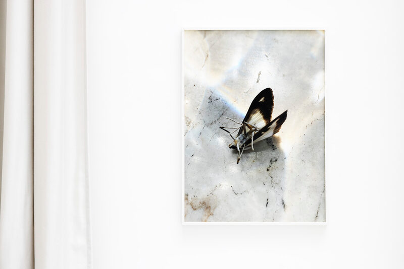 still (a little life)