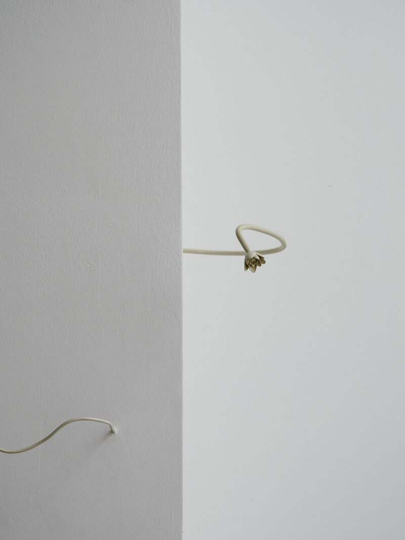 Odyssea: Le sel de la terre