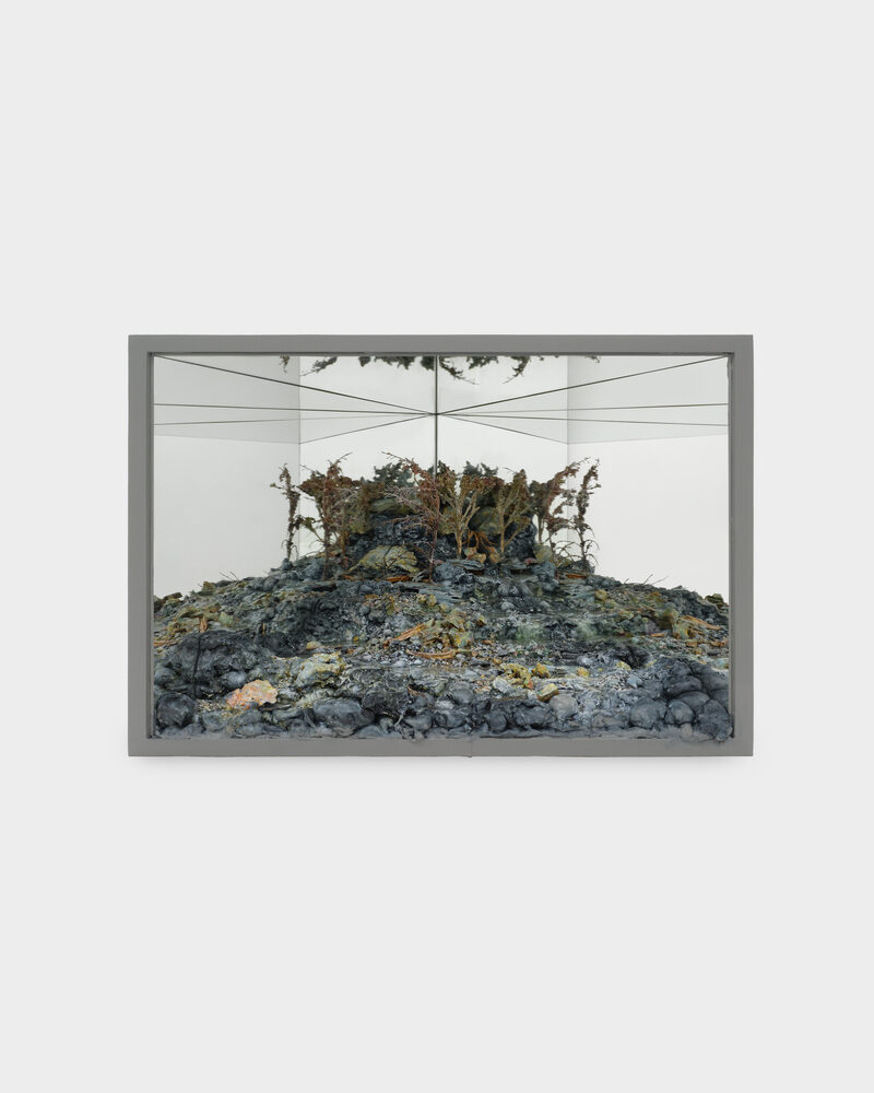 RARE EARTH