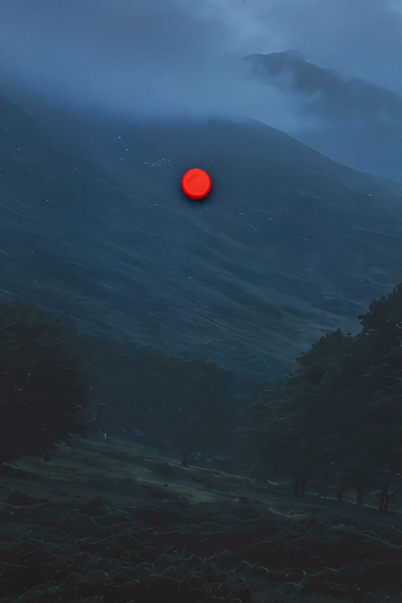 Neblina alrededor del árbol