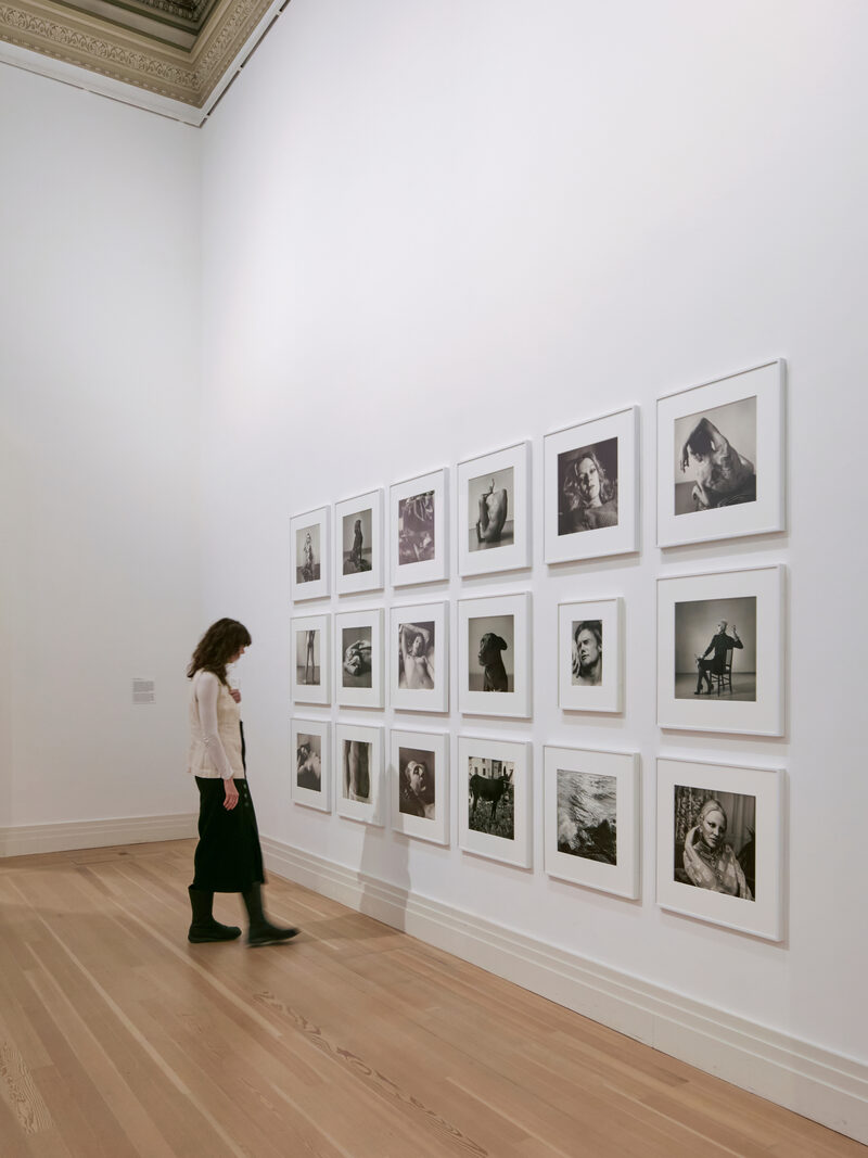 Peter Hujar / Liz Deschenes: Persistence of Vision