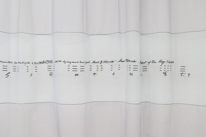 Snake, Turtle, Alligator