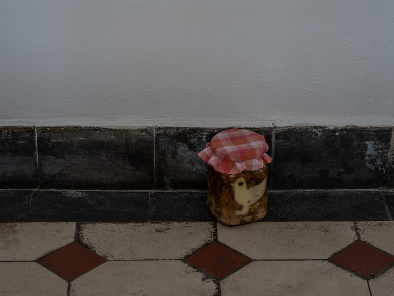 Confusion model into a butterfly