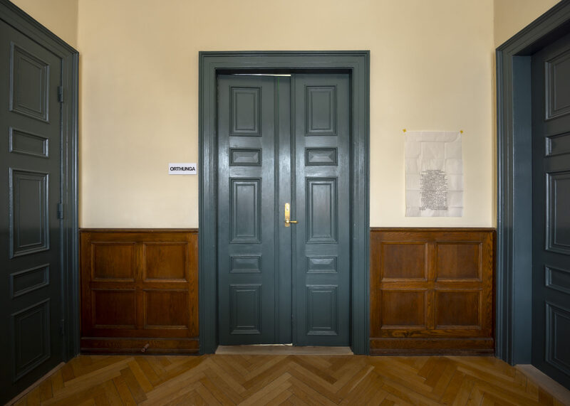 Elena Narbutaitė, Jason Dodge