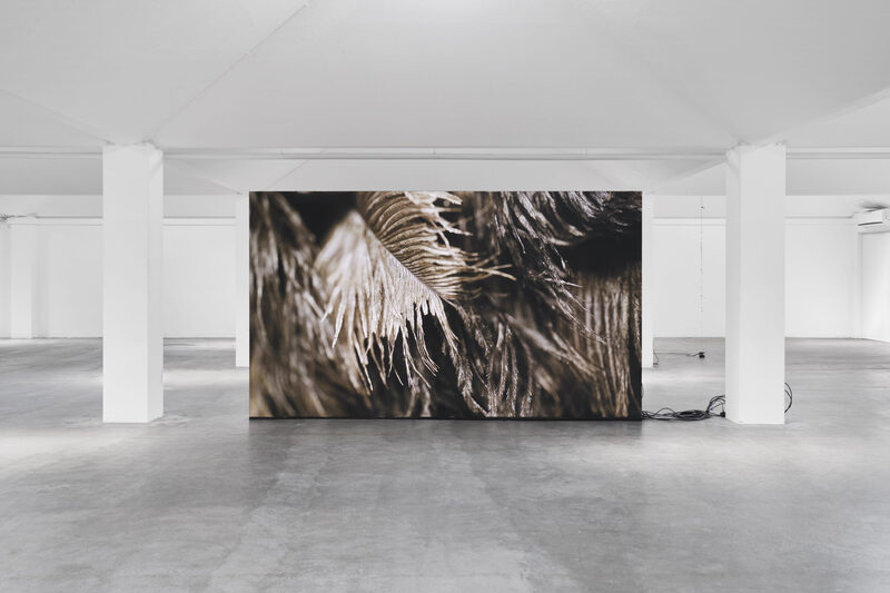 Future Mechanism Rag Plus Two Grams