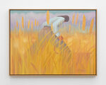 Grasslands