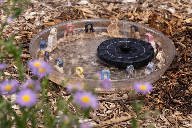Pond in a Bowl