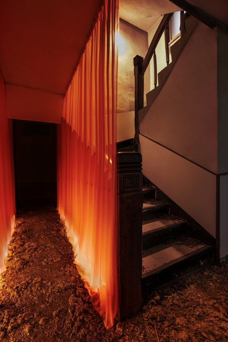 Tangerine Reverie