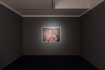 Pip Greenaway | Too Much to Swallow