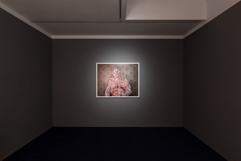 Pip Greenaway | Too Much to Swallow