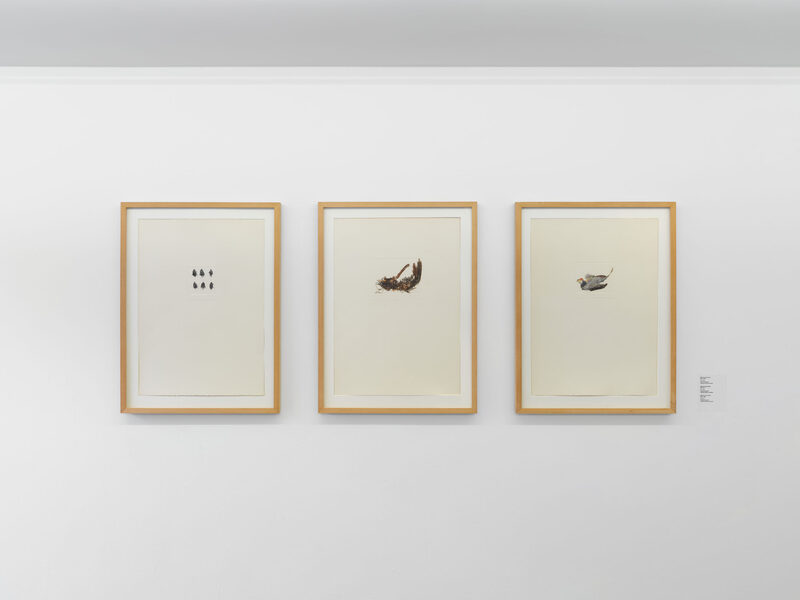 Nothing New Under the Sun — A selection of the Collection Flemish Community