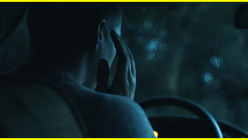 METAHAVEN - The Feeling Sonnets (Transitional Object)