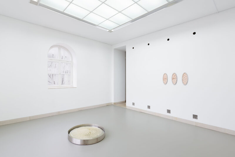 Vessels of Unbecoming