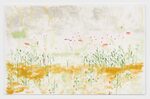 Trevor Shimizu