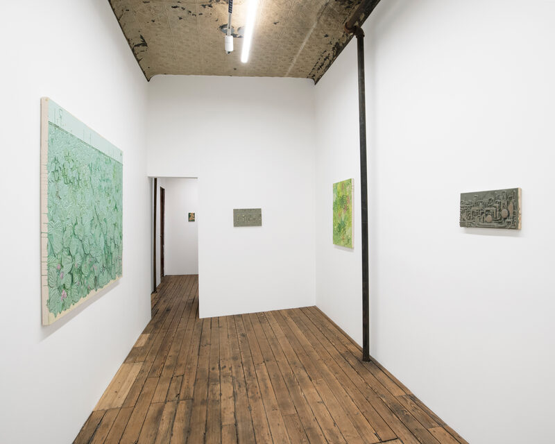 Michael Assiff: USA Flowers
